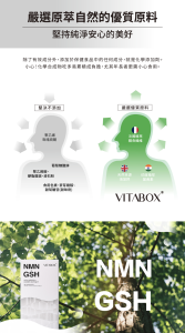 VITABOX original 19