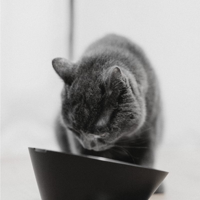 VITABOX MTTT uDesign 800x800 E7 94 A2 E5 93 81 E5 9B 9B E5 BC B5 03