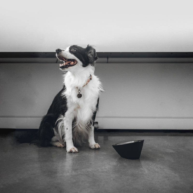 VITABOX MTTT uDesign 800x800 E7 94 A2 E5 93 81 E5 9B 9B E5 BC B5 04